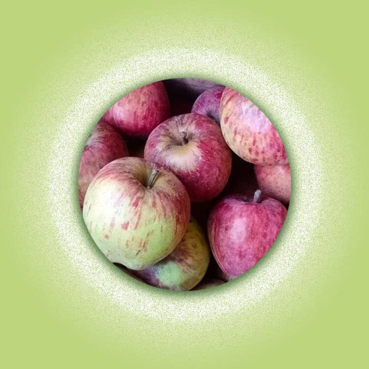 Fruits Archives Buy Online at Best Price in Nepal